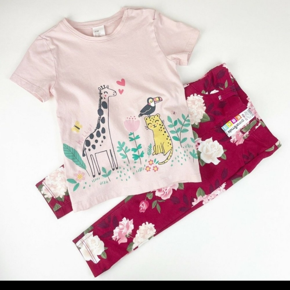 H&M 12-24mo shirt &NWTGaranimal Floral Legging Lot